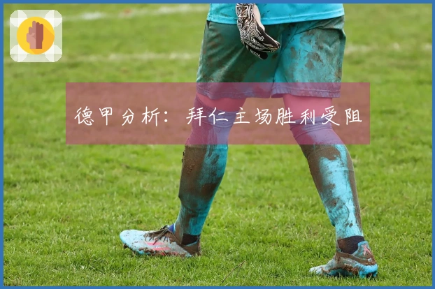 德甲分析：拜仁主场胜利受阻