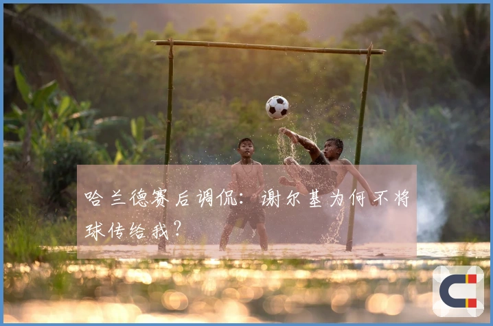 哈兰德赛后调侃：谢尔基为何不将球传给我？