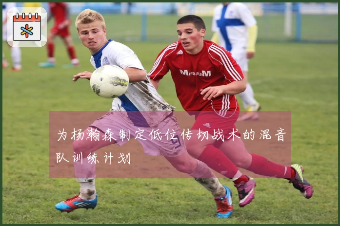 为杨瀚森制定低位传切战术的混音队训练计划