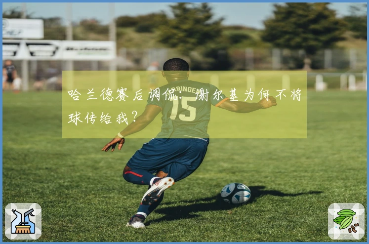 哈兰德赛后调侃：谢尔基为何不将球传给我？
